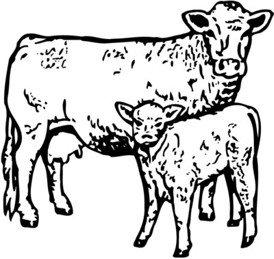 COW030