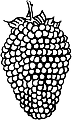 FRUIT003