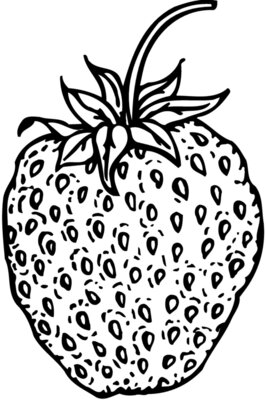 FRUIT009