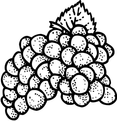 FRUIT016