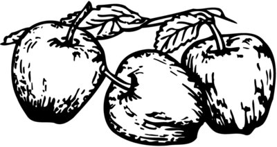 FRUIT018