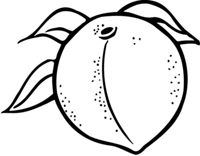 FRUIT023