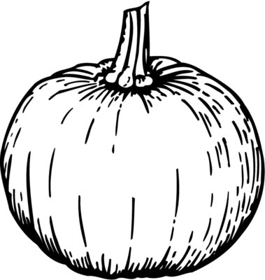 FRUIT040
