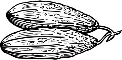 VEG005
