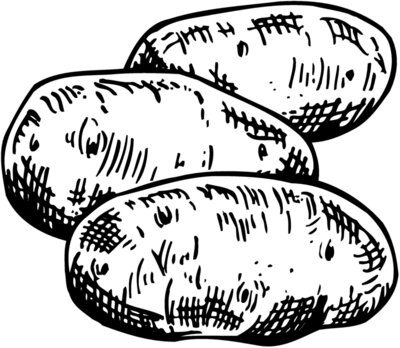 VEG013
