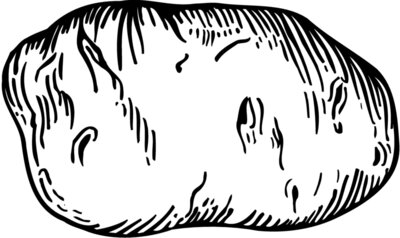 VEG019