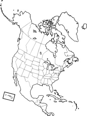 NAMERICA