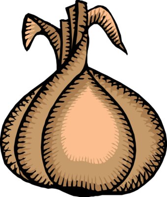 johnny automatic onion