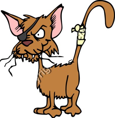 papapishu Fighting cat