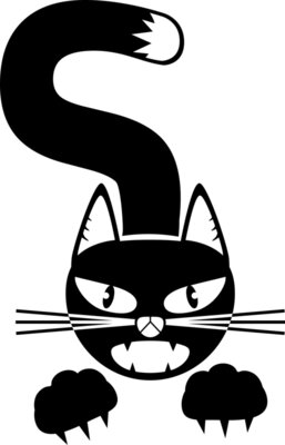 cat  10 