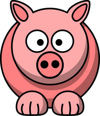 pig2