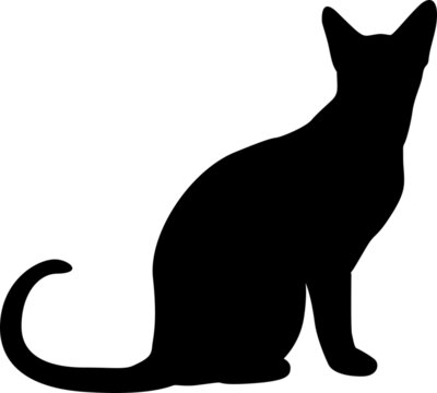 cat silhouette