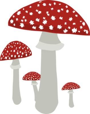 Mushrooms4